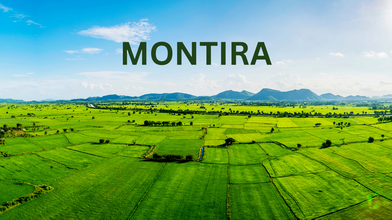 montira
